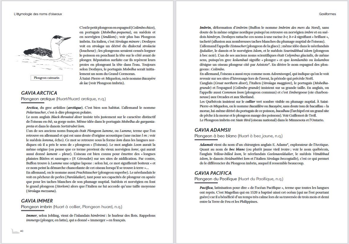 l'tymologie des noms d'oiseaux