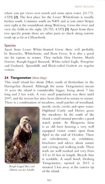 a birdwatching guide to the netherlands