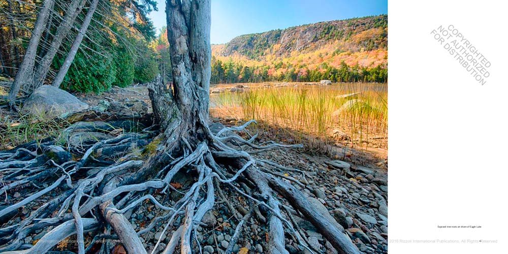 acadia national park. a centennial celebration
