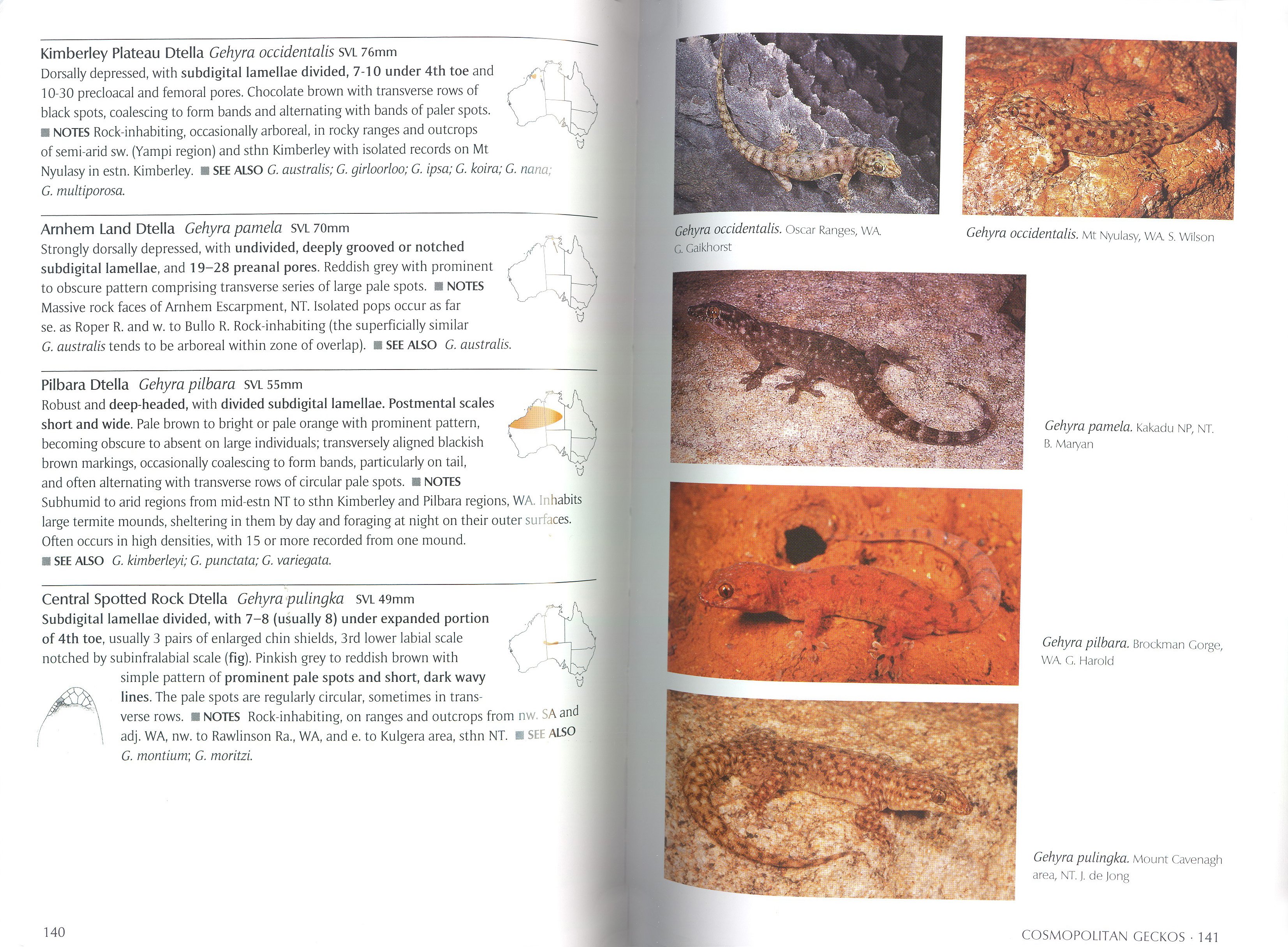 a complete guide to reptiles of australia