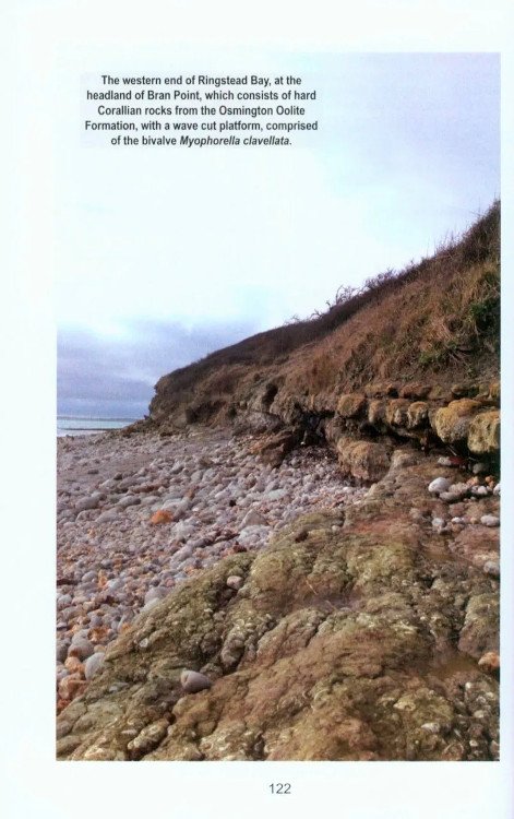 a guide to fossil collecting in england and wales