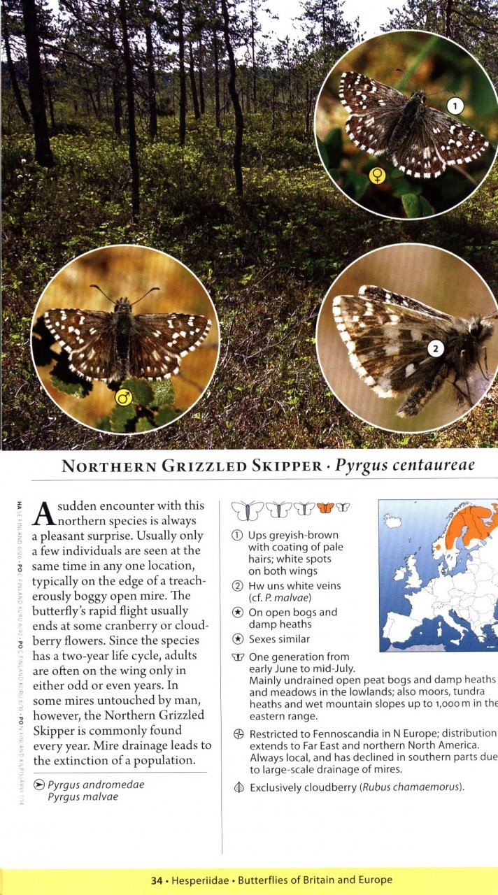 a naturalist's guide to the butterflies of britain and northern europe. 2 ed.