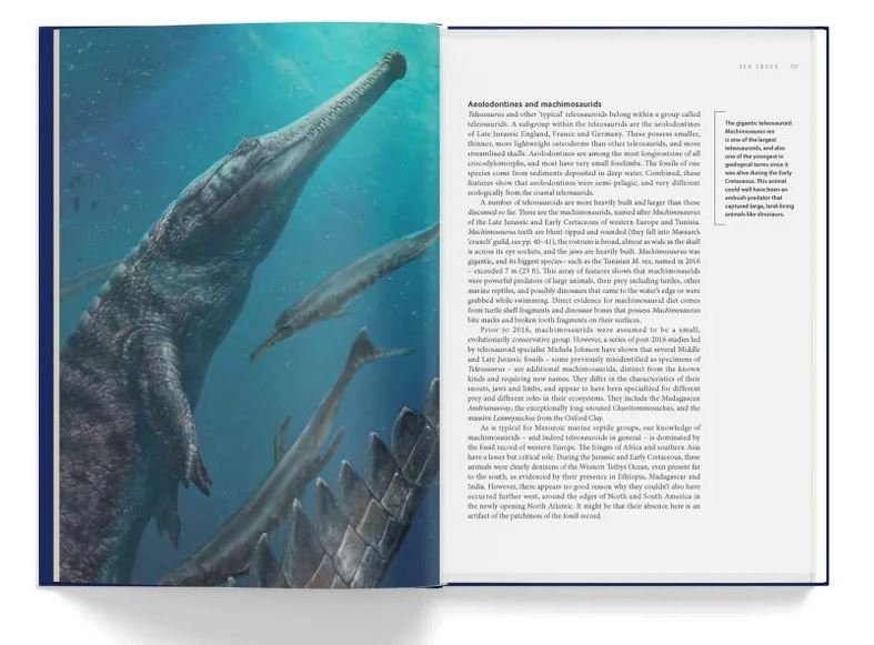 ancient sea reptiles. pleiosaurs, ichthyosaurs, mosasaurs & more