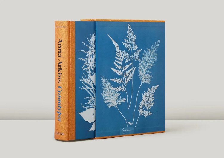 anna atkins. cyanotypes
