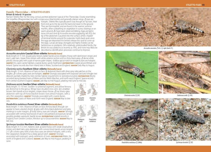 a photographic guide to flies of britain & ireland