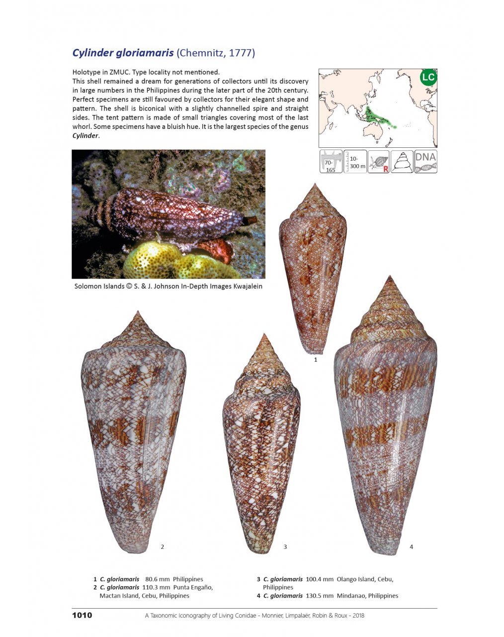 a taxonomic iconography of living conidae. volume 2