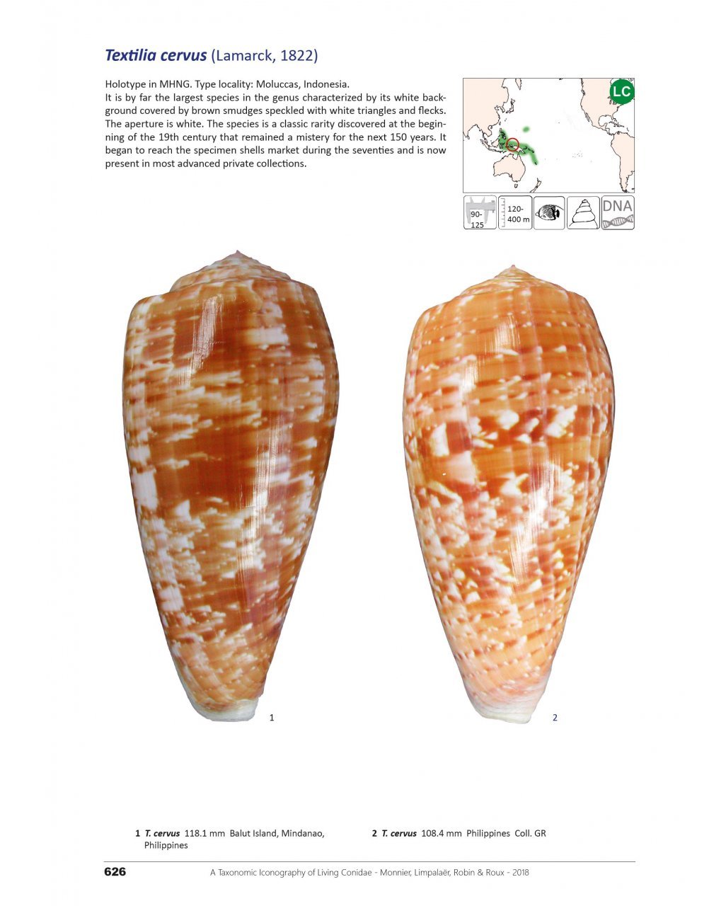 a taxonomic iconography of living conidae. volume 2