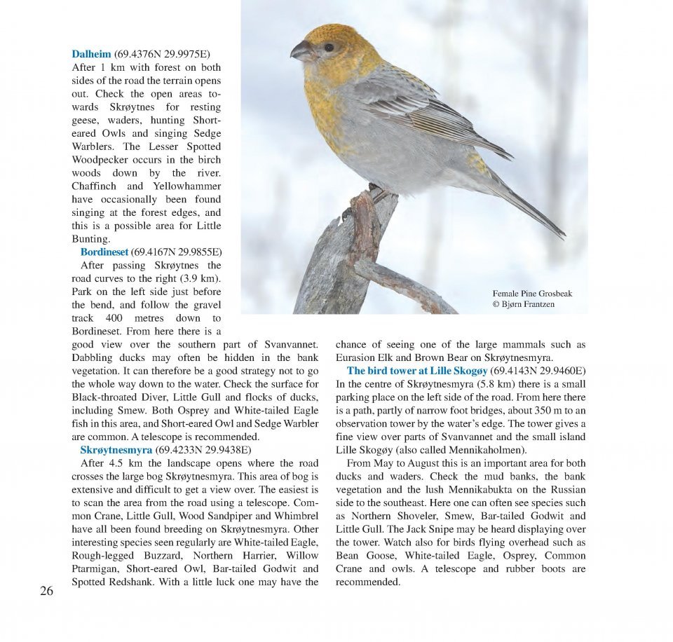 birding across the border