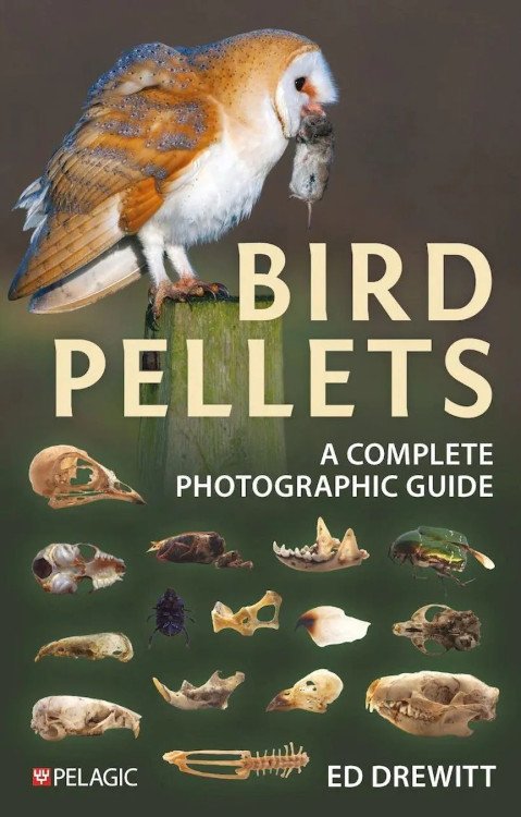 bird pellets. a complete photographic guide