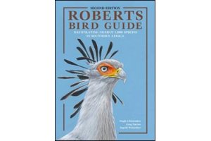 birds of africa