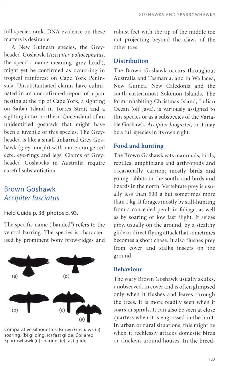 birds of prey of australia: a field guide