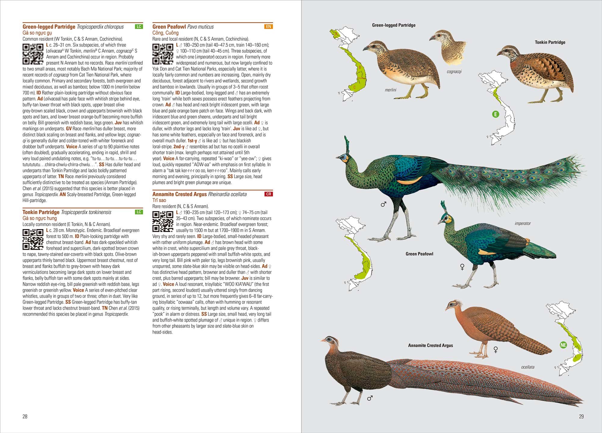 birds of vietnam (flexi cover)