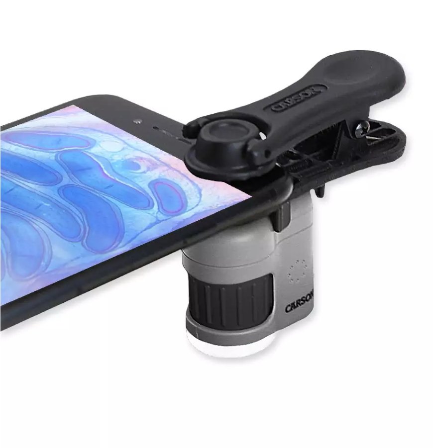 carson kit microscopio de bolsillo micromini 20x + adaptador digiscoping