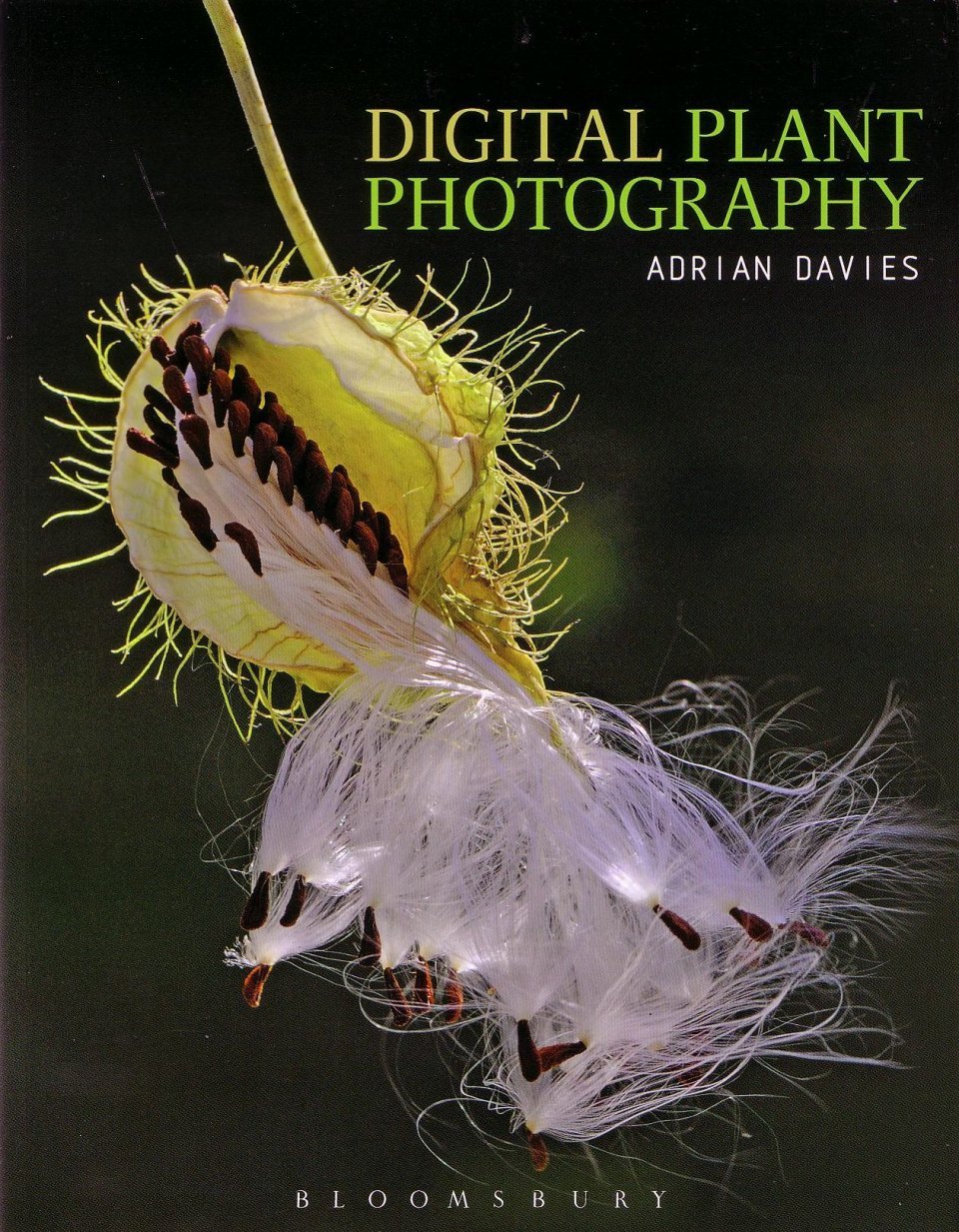 digital plant photography