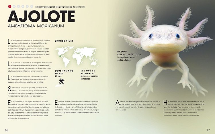 el gran libro de los animales salvajes