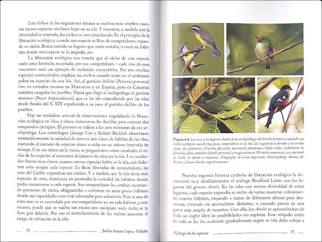 el juego de las especies