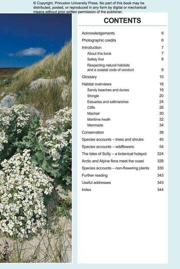 field guide to coastal wildflowers of britain, ireland and northwest europe
