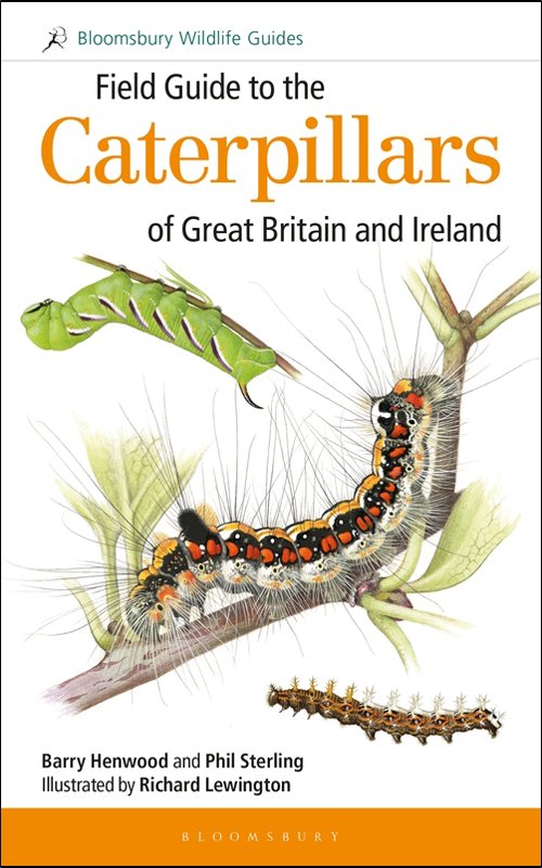 field guide to the caterpillars of great britain and ireland