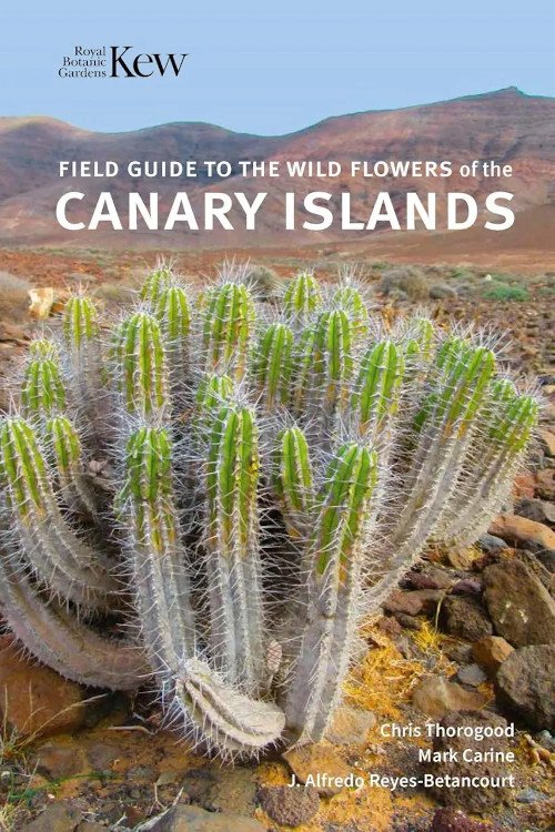 field guide to the wild flowers of the canary islands