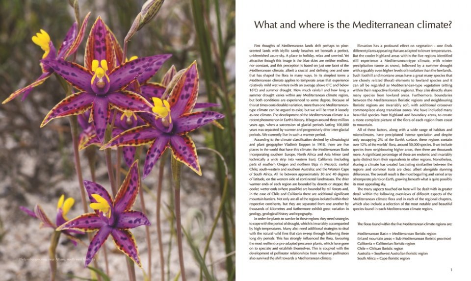 flora of the mediterranean. with california, chile, australia & south africa. an illustrated guide