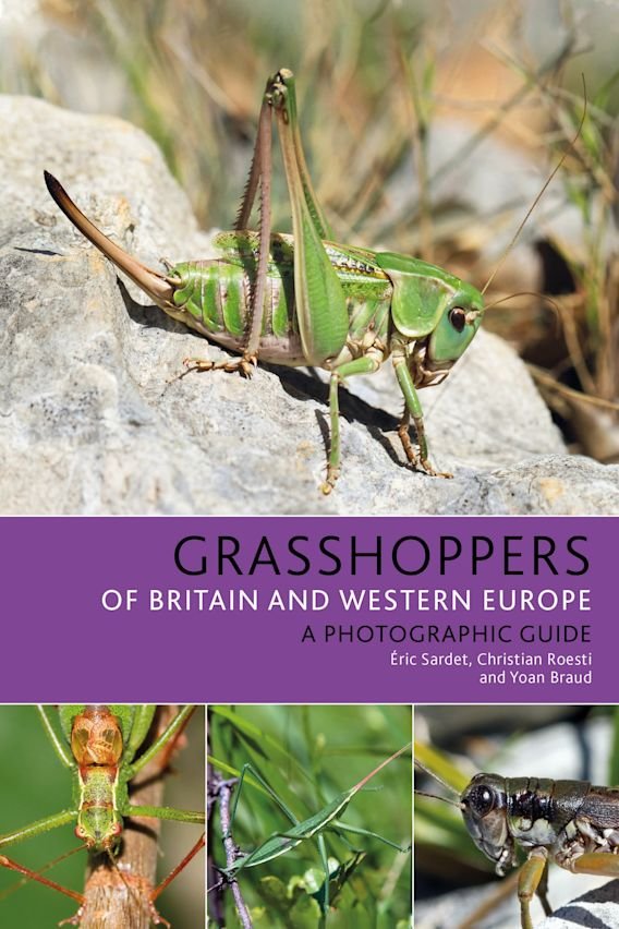 grasshoppers of britain and western europe. a photographic guide