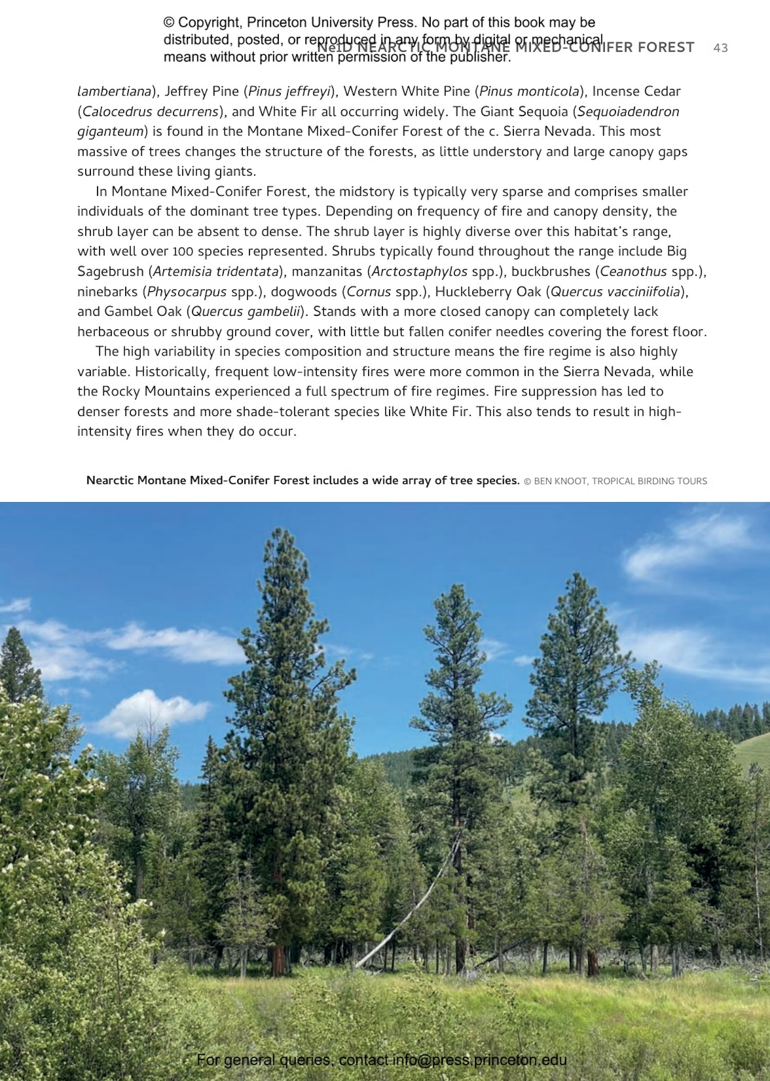 habitats of north america. a field guide for birders, naturalists and ecologists