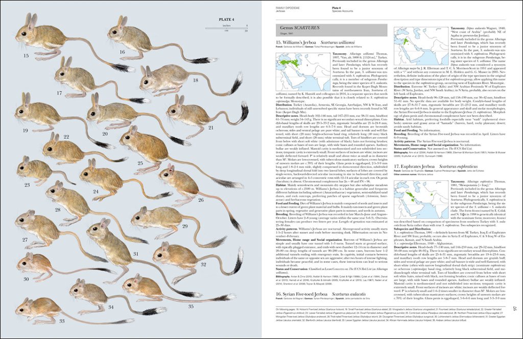 handbook of the mammals of the world. vol. 7 rodents ii