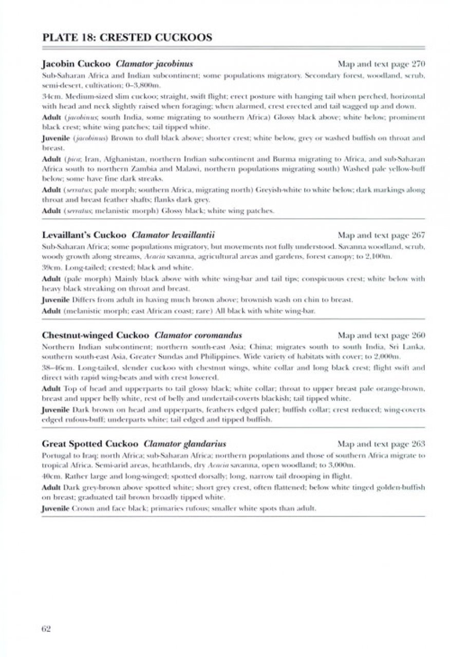 helm identification guide. cuckoos of the world