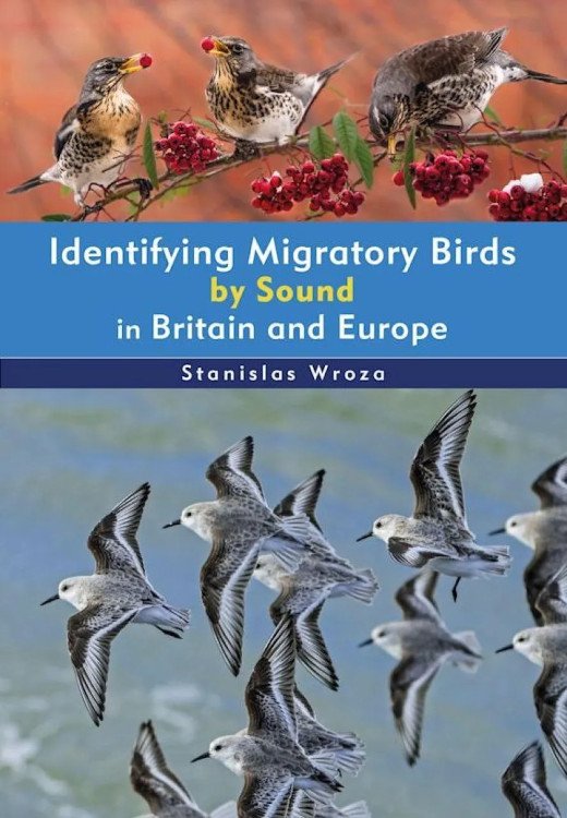 identifying migratory birds by sound in britain and europe