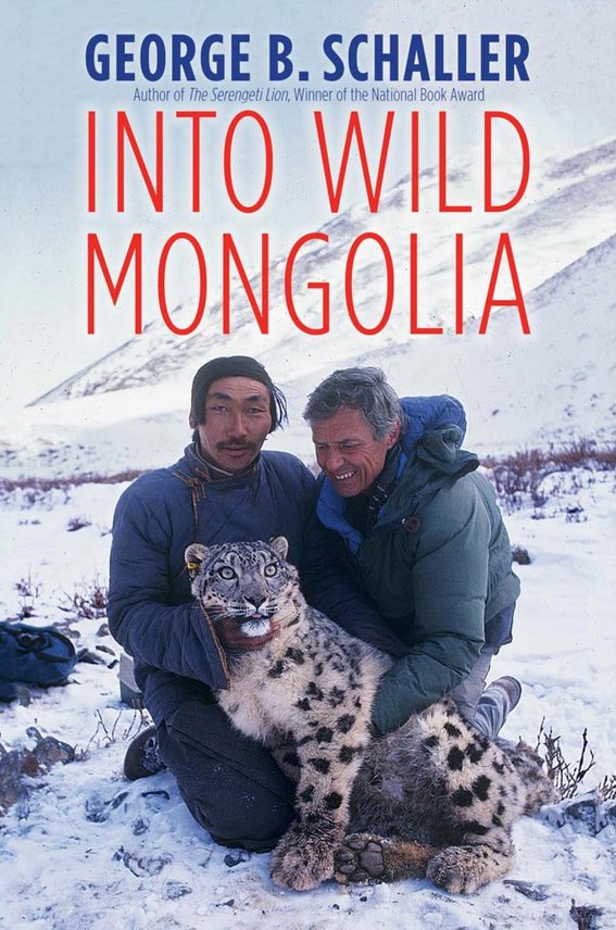 into wild mongolia