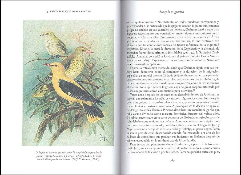 la sabiduria de las aves