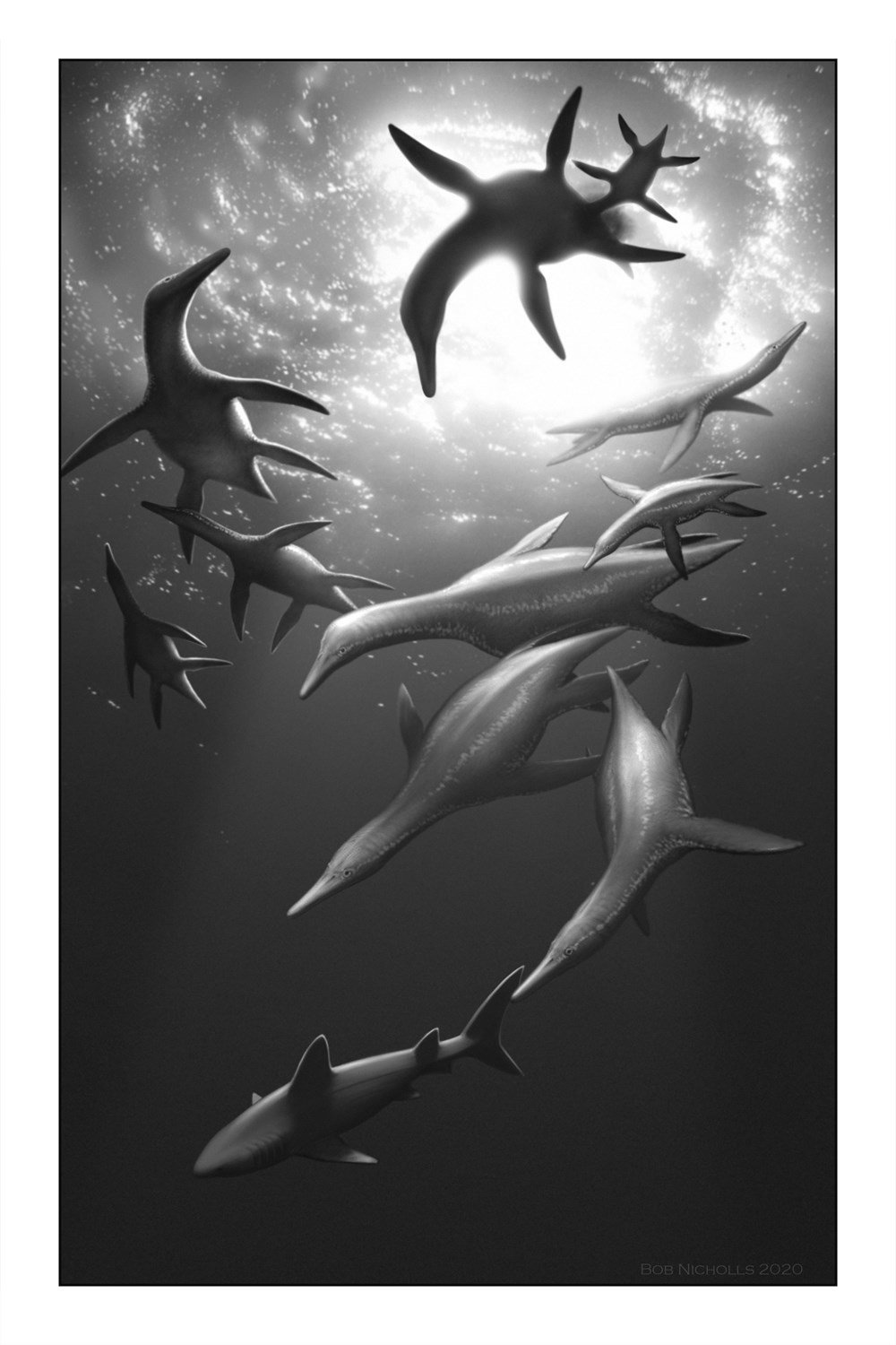locked in time. animal behavior unearthed in 50 extraordinary fossils