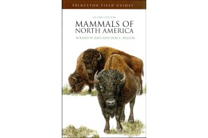 mammals of north america