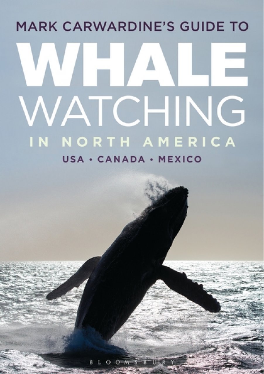 mark carwardine's guide to whale watching in north america