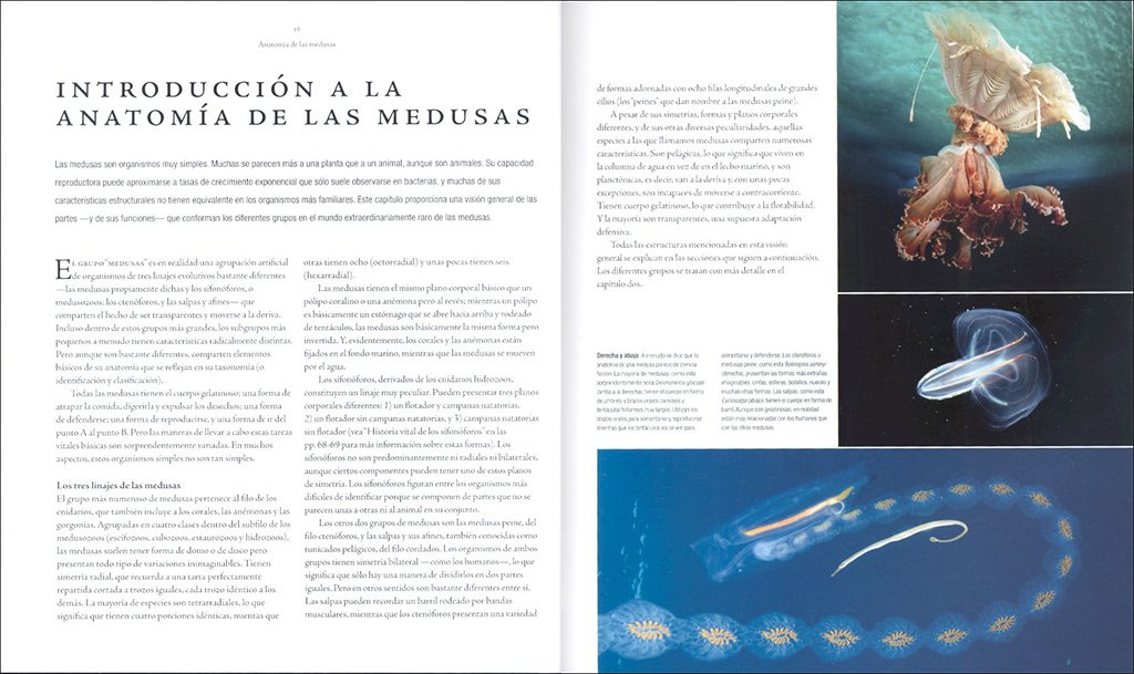 medusas. una historia natural