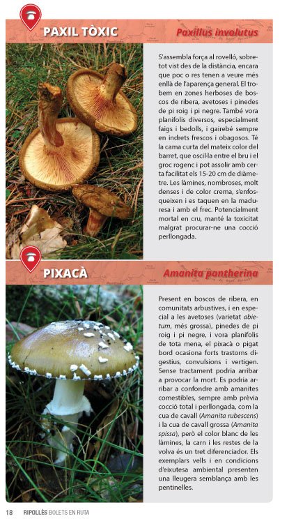 montseny, bolets en ruta. guia + mapa 1:35.000