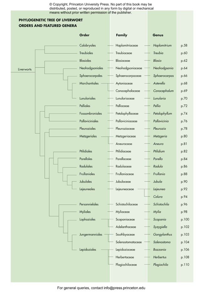 mosses, liverworts, and hornworts of the world. a guide to every order