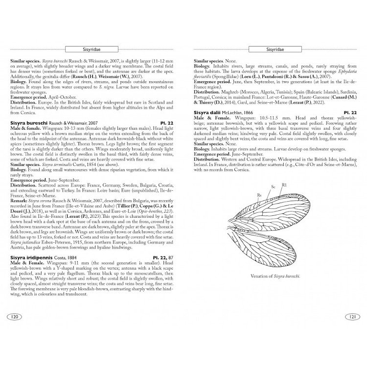 neuropteroids of europe, neuroptera, trichoptera, plecoptera, mecoptera, megaloptera and raphidioptera