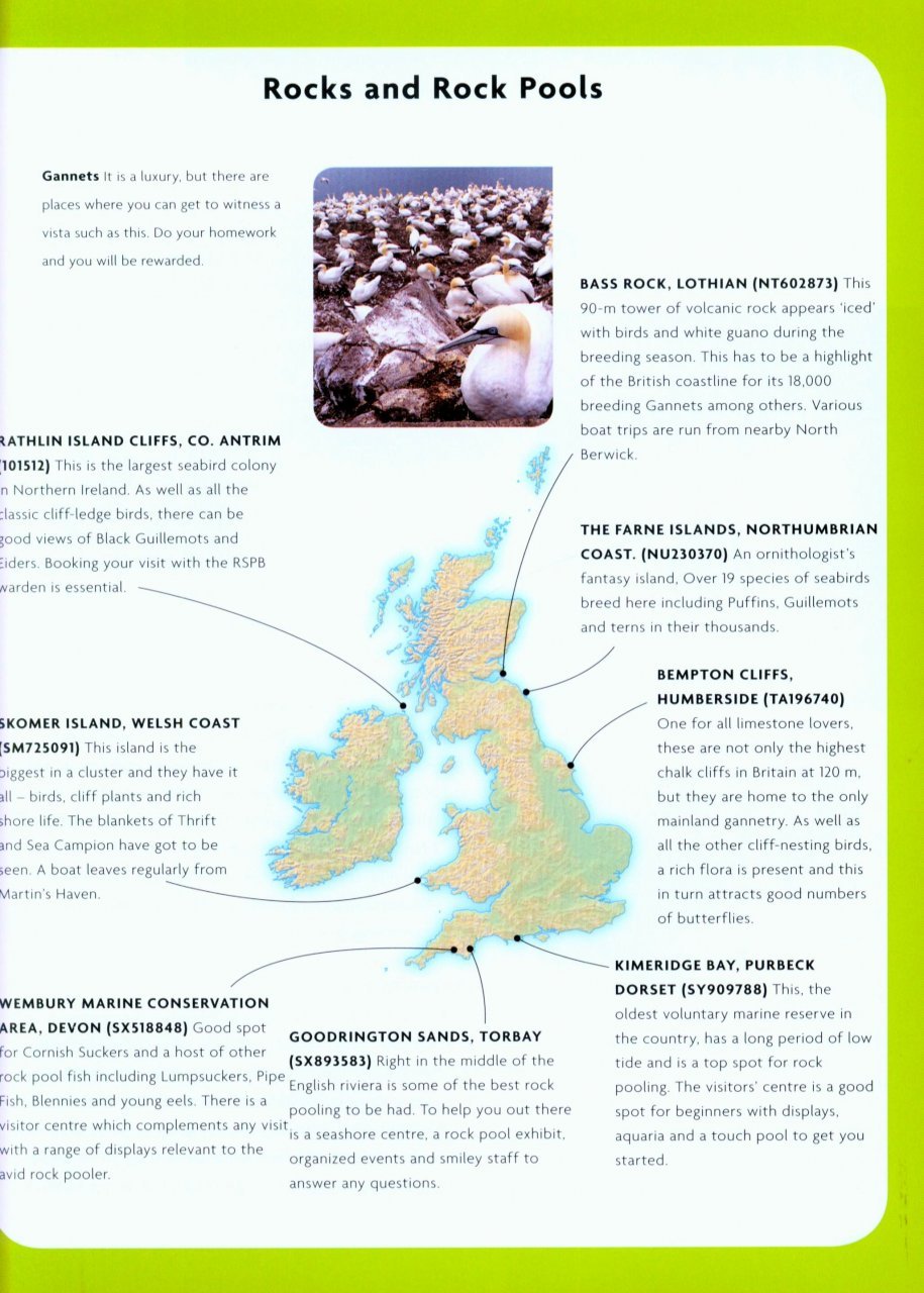 nick baker's british wildlife: a month by month guide