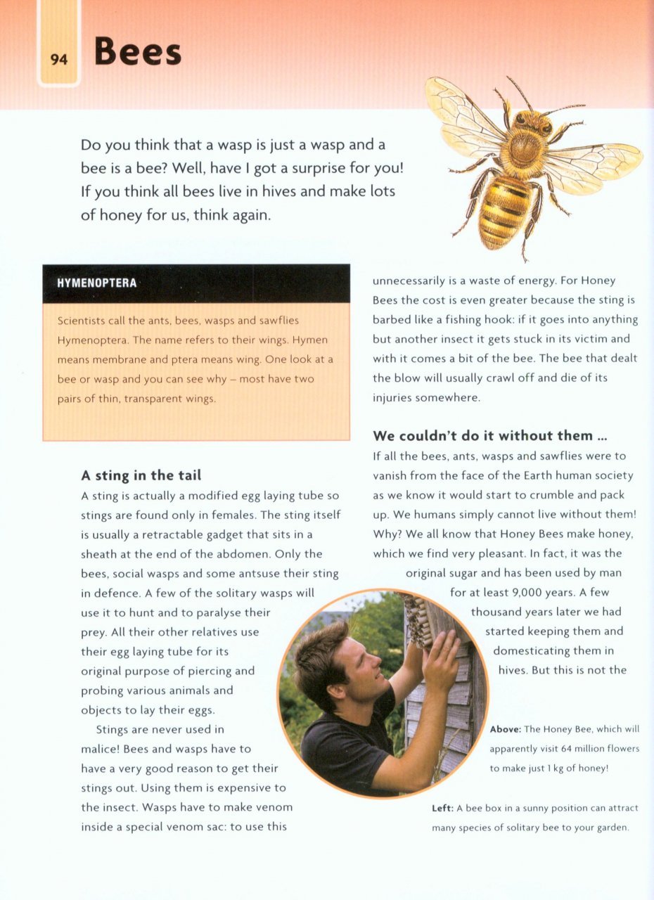 nick baker's bug book : discover the world of mini-beasts!