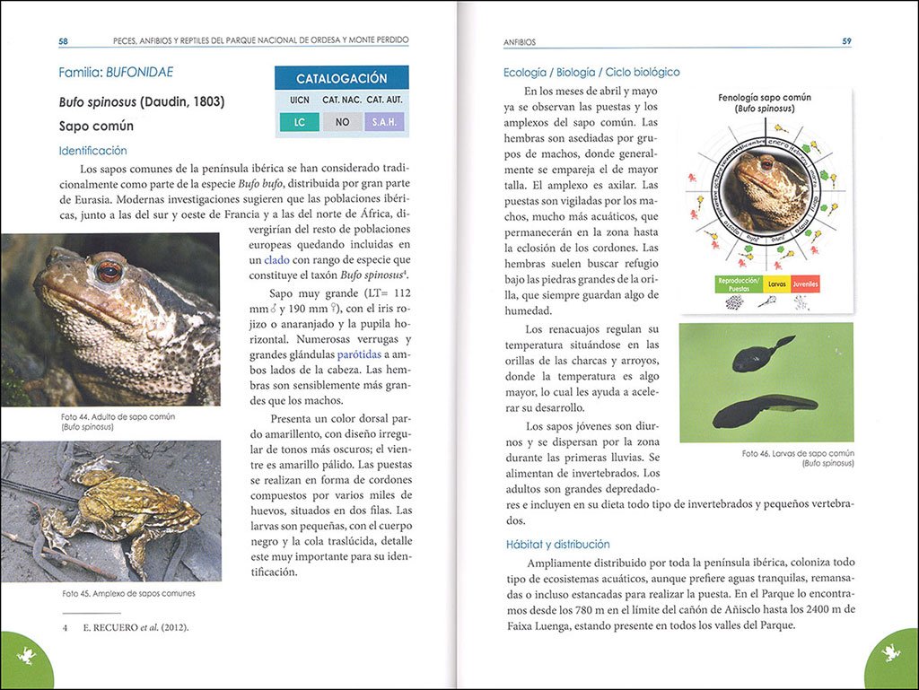 peces, anfibios y reptiles del parque nacional de ordesa y monte perdido