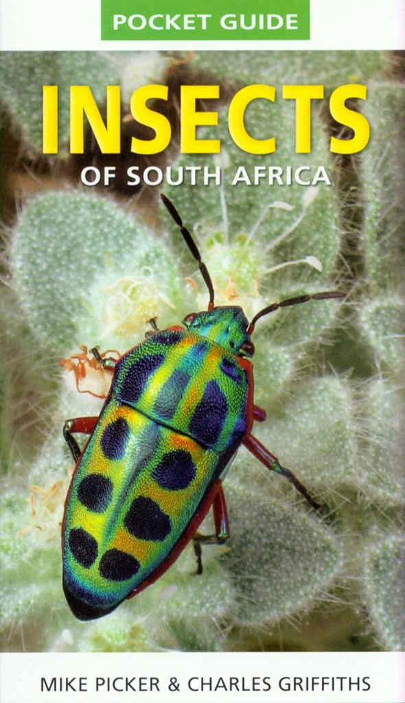 pocket guide insects of south africa