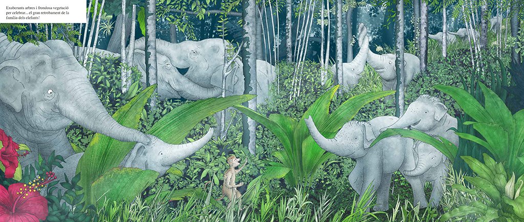 quan la selva desapareix