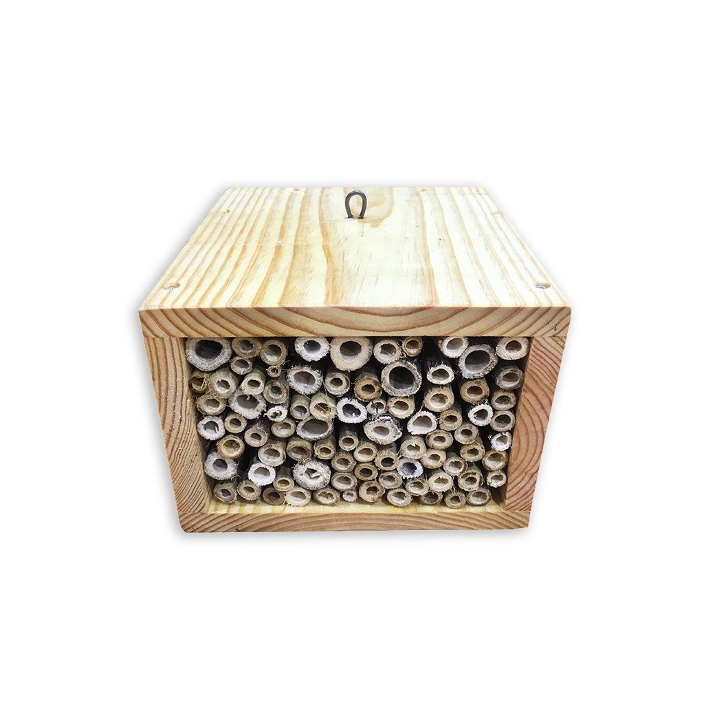 refugio para insectos modelo cubo