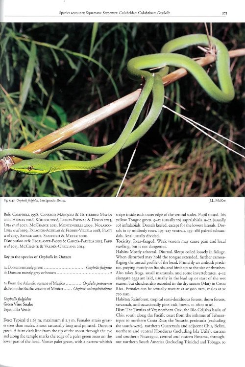 reptiles of oaxaca. turtles, crocodiles, lizards and snakes of mexico's most biodiverse state