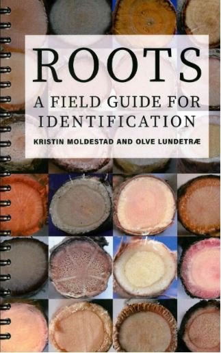 roots a field guide for identification