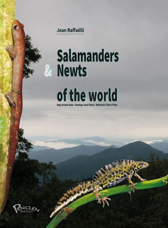 salamanders & newts of the world