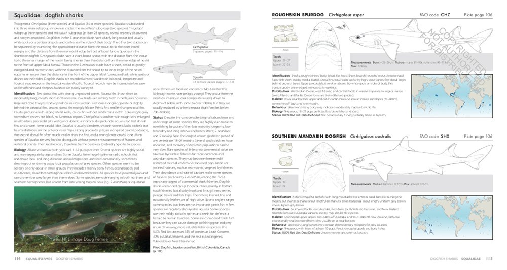 sharks of the world. a complete guide