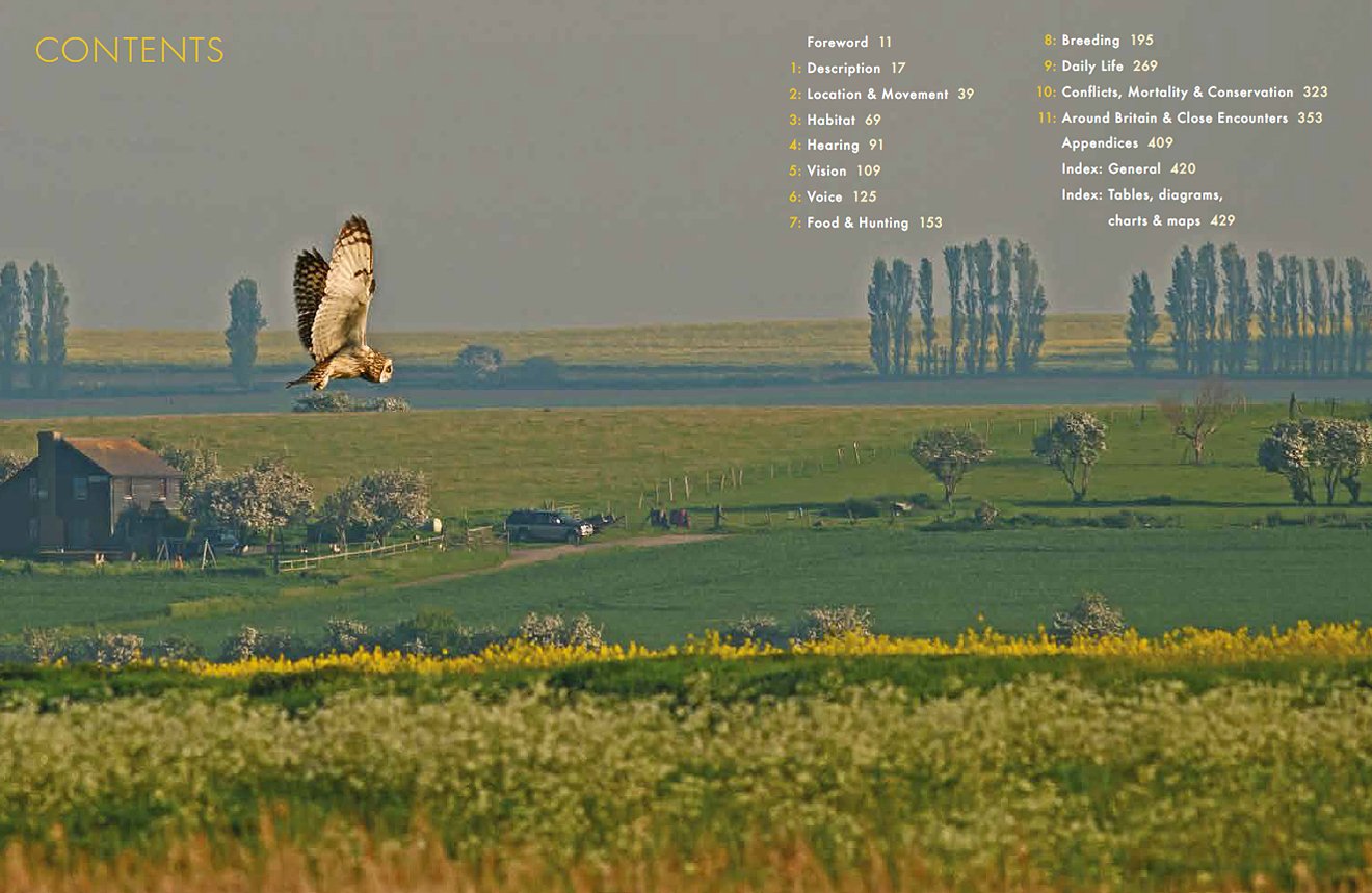 short-eared owls. an extensive study of short-eared owls in britain