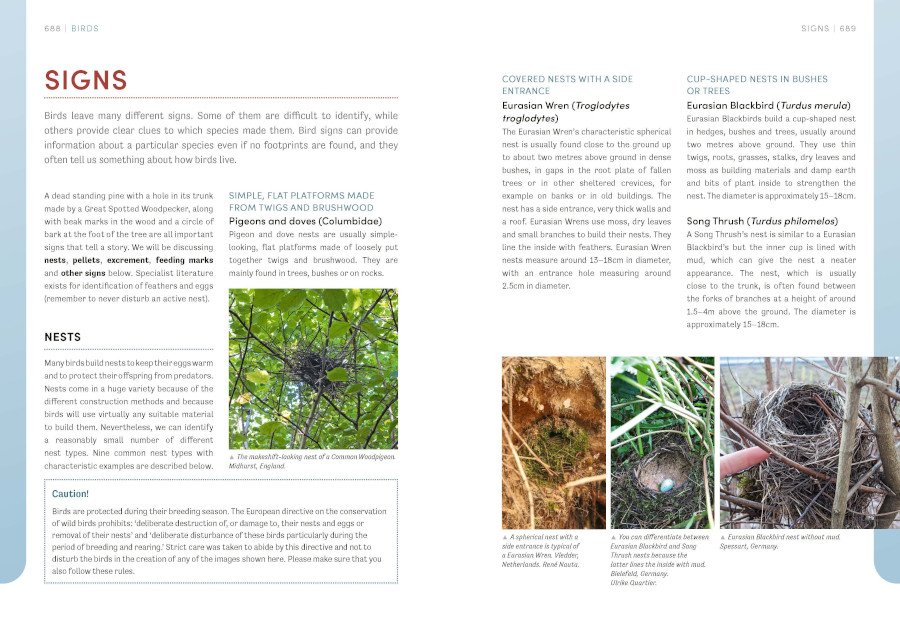 the european animal tracks handbook
